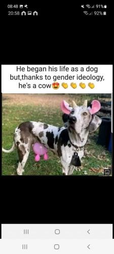 FB_IMG_1655825983341