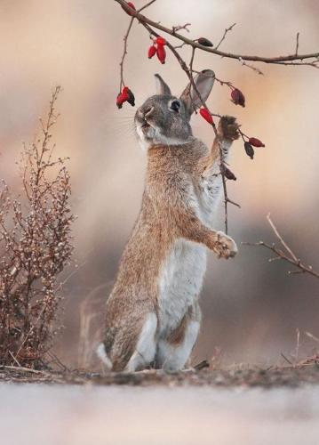 287677462_3159751284278416_203128149927189884_n