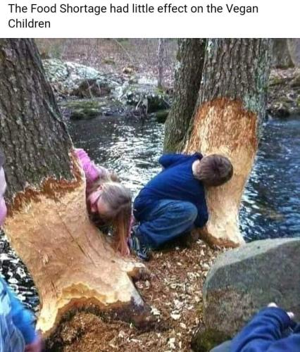 FB_IMG_1654716396722