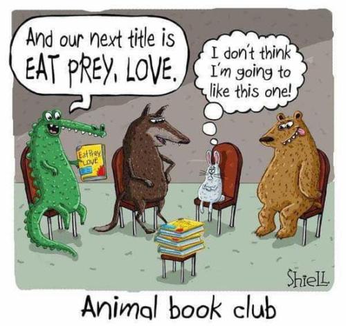 289126100_576320820527369_8135800847487696019_n