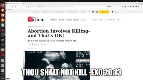 exo20_13abortion