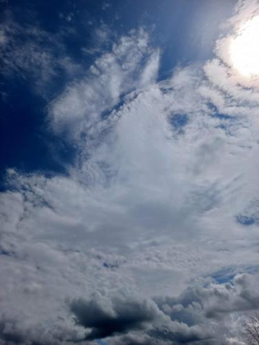 received_3101063593479358