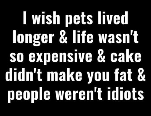 tumblr_f9a2426a90f949f77382bc5c4c6e5480_200a3647_540