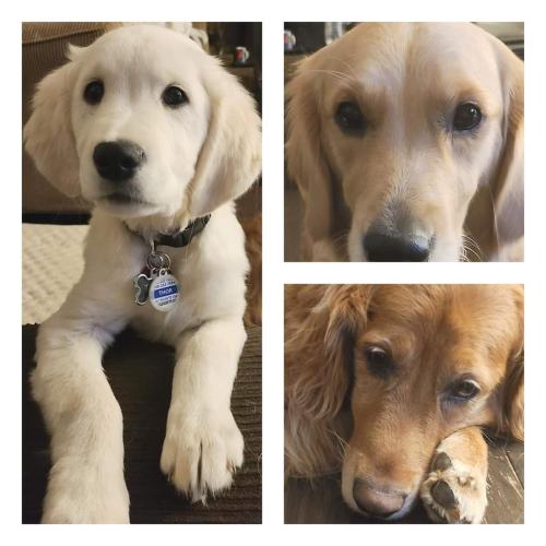 FB_IMG_1641662693284