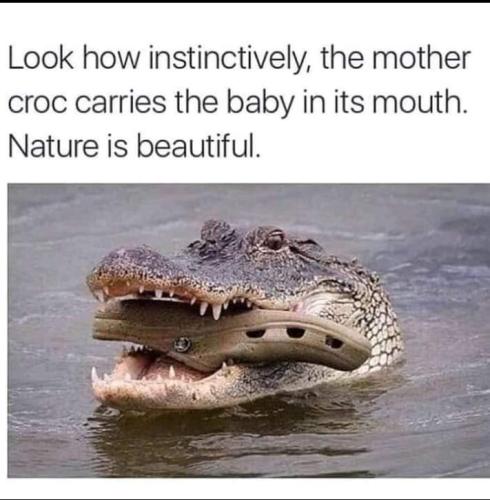 FB_IMG_1655915948882