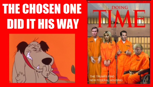 289944034_563371131926562_1694419663241712061_n