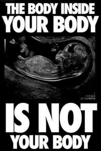 FB_IMG_1651800156880