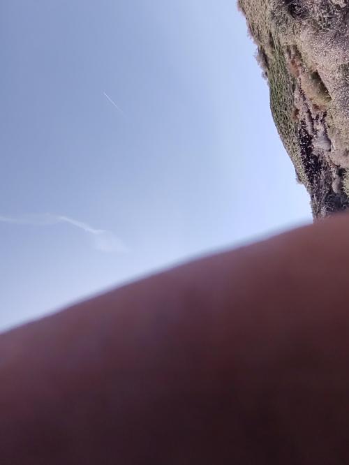 IMG_20220406_153455207_BURST017