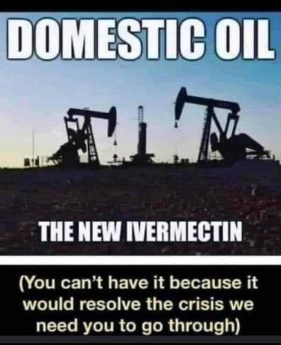 FB_IMG_1654953969943