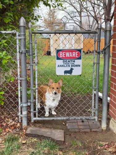 tumblr_2e61b86096a254c9029b933eab0719dc_61c78a01_540