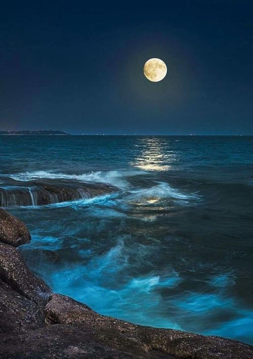 15:54:43 GMT-0400 (EDT).image