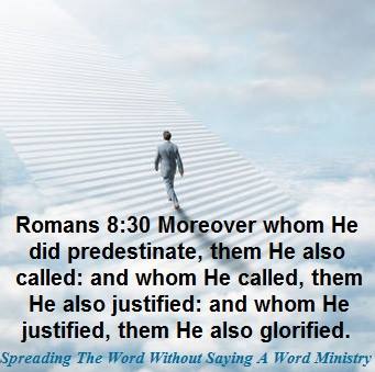 52382648_2193332734082179_7099961513045131264_n