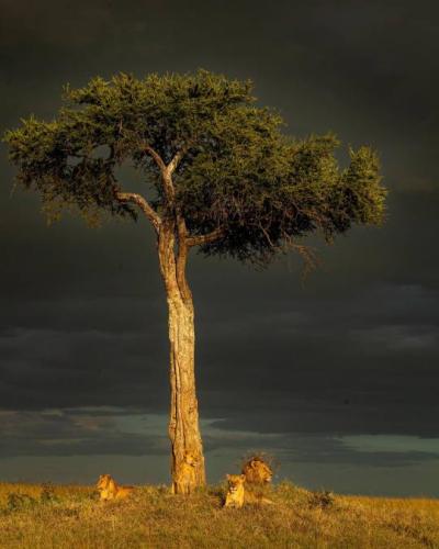 tumblr_db32c37ab2c89c9fab0d32cf3a7aa551_c26d35c2_540