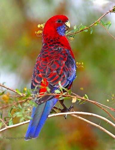 286810006_1465478657246404_1885112990866784884_n