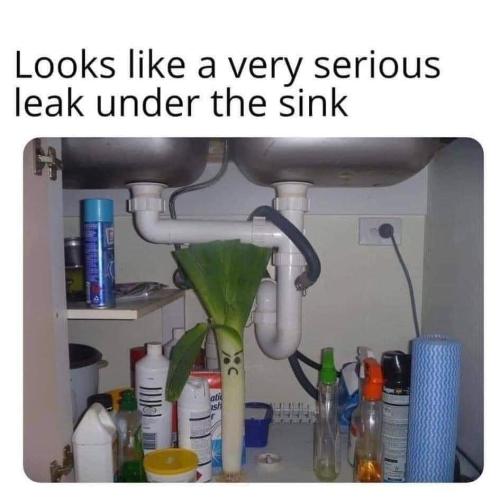 FB_IMG_1654889247944