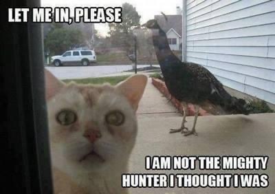 21:36:44 GMT-0500 (CDT).image