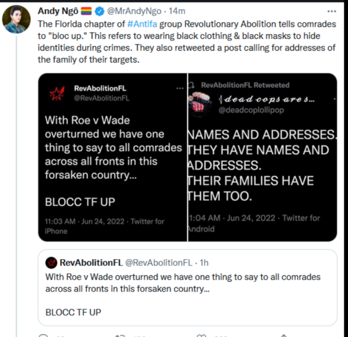 Abortion Antifa 1