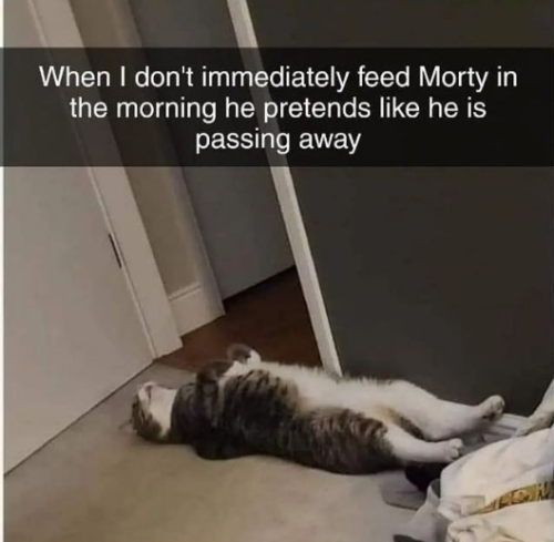 captures_chrome-capture-2022-5-1 (19)