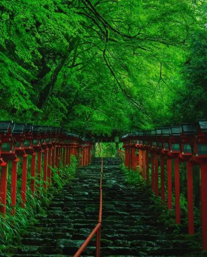 289257267_548156043605538_6181399716814416762_n