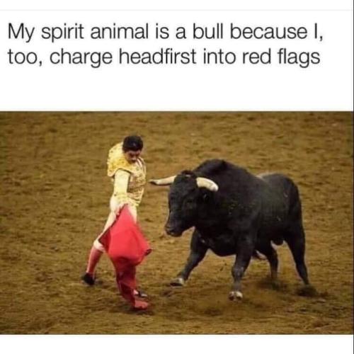 FB_IMG_1655478464548