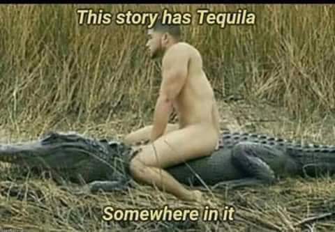 FB_IMG_1655477509007