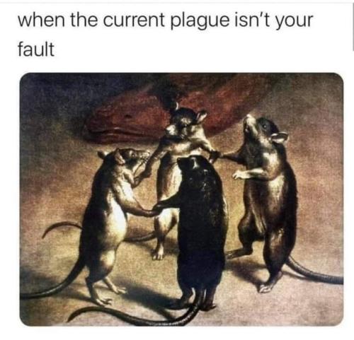 FB_IMG_1656523942947