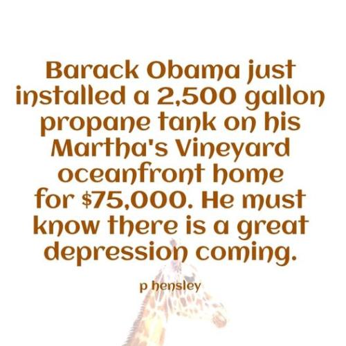 fb288739196_4574988999271502_4125990321036439366_n