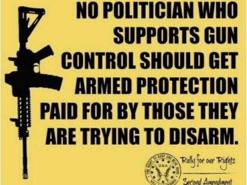 politician gun control