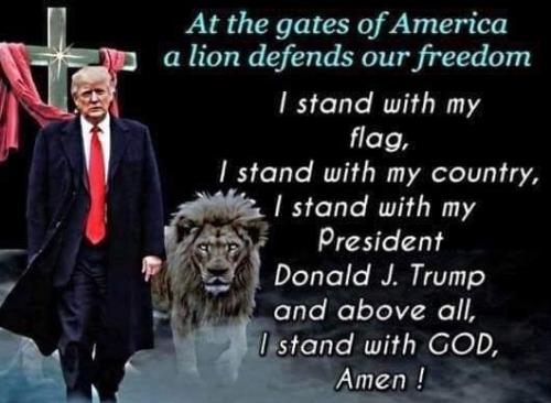 80983488_459300541351568_2785844203412783104_n