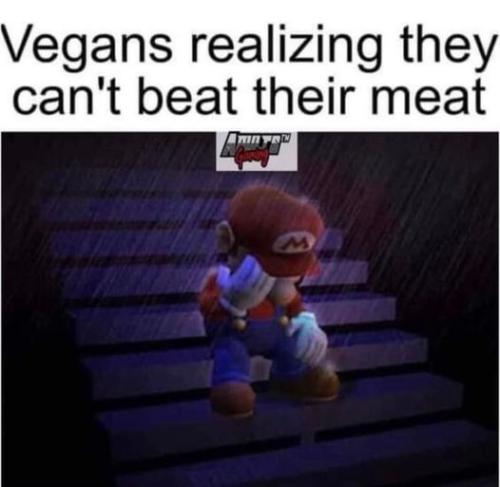 288766444_534369125062074_4187666108115999742_n