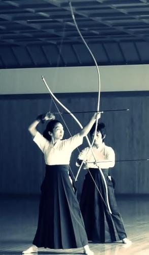 87e5a19735291d3de5840168ed16652e