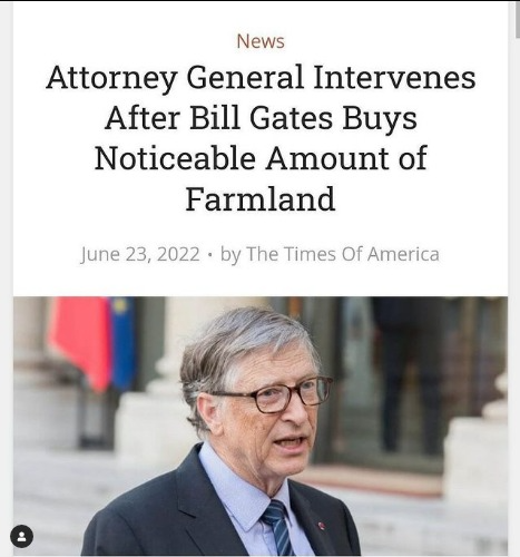 captures_chrome-capture-2022-5-29 (17)