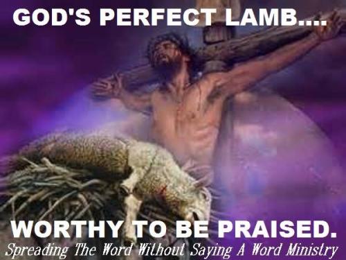 12987080_1041503465931784_6781576298422876685_n