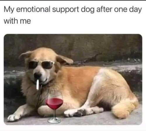 289617892_2892315727734791_3482092817581551478_n