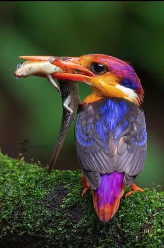 288448334_752490102772245_8666784906001818436_n