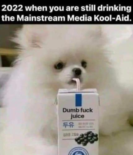 FB_IMG_1654809239154