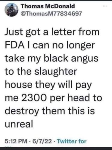 xephula_e3a3129016d1a39056bd0994e8a79523