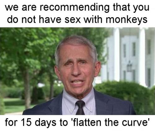 monkeypox27