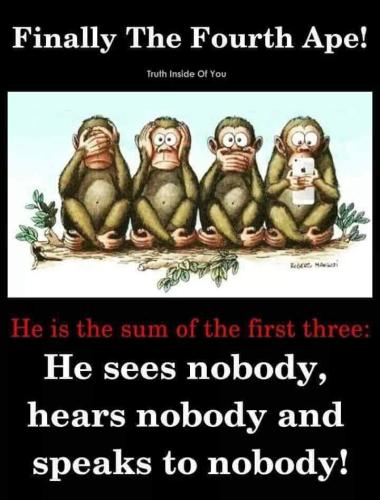FB_IMG_1655211931003