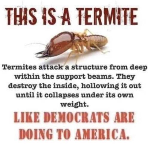 289598102_5769929846368188_7359703145681554608_n