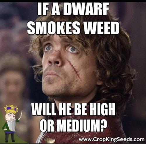 FB_IMG_1656621891230