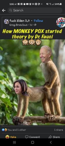 f555d29d-c059-4e32-8272-3f933b2d7f1d