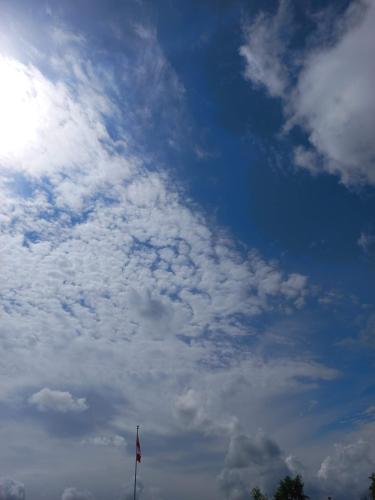 received_3399205383636750