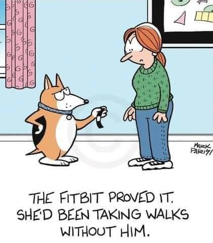 285670173_5390127281025700_1662017814464210467_n