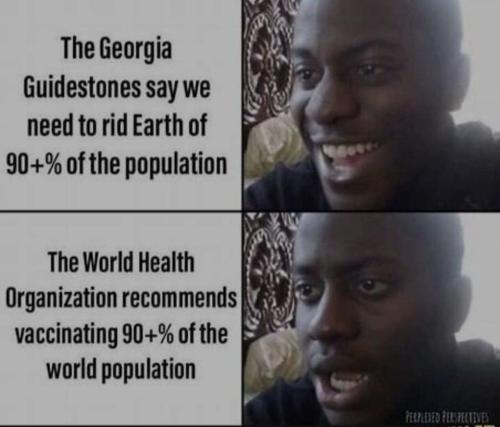 287661678_408701921179872_6393728066063469878_n