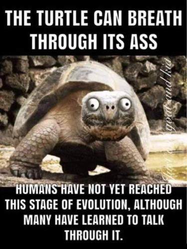 FB_IMG_1656622208003