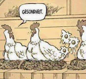 FB_IMG_1655315411595