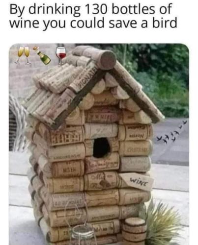 FB_IMG_1655734812528
