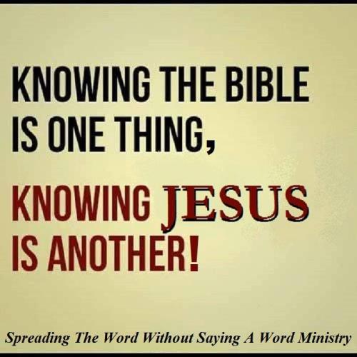 12804909_1010188925729905_596305892350784917_n