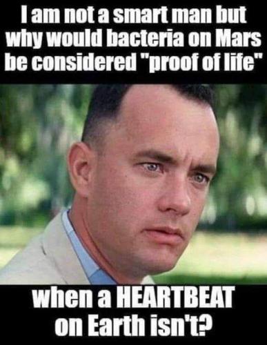 FB_IMG_1655824806831
